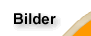 MP3, Links, Postkarte, Forum, Chat, Bilder, Live Bilder, Konzerte, Events, Vorverkauf, Krems, Exil, Webcam, Livebild